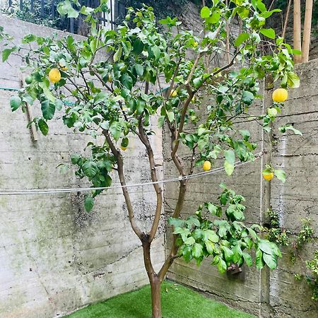 Lemon Tree Resort - Freeparking - Garden Cenova Dış mekan fotoğraf